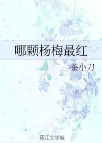 哪颗杨梅最红