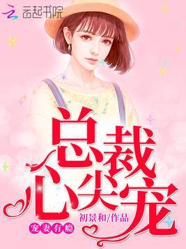 宠妻有瘾:总裁心尖宠