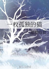 一枚孤独的猫