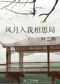 风月入我相思局