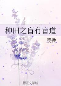 种田之盲有盲道