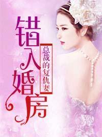错入婚房：总裁的覆仇妻