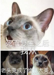死而覆生之后我从老头变成了绝世大美人