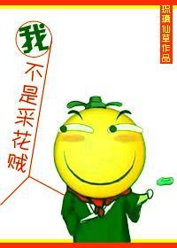 我真不是采花贼!gl