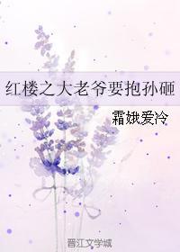 红楼之大老爷要抱孙砸