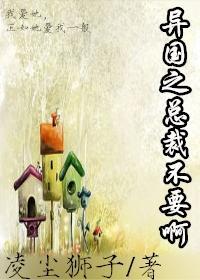 异国之总裁不要啊(gl)