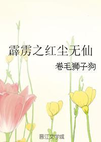 霹雳之红尘无仙