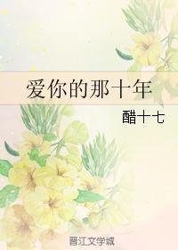 爱你的那十年