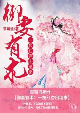 御妻有术:一枝红杏出墻来