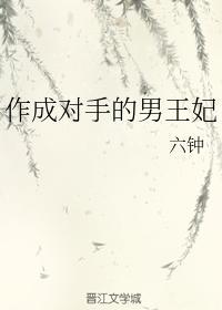 作成对手的男王妃