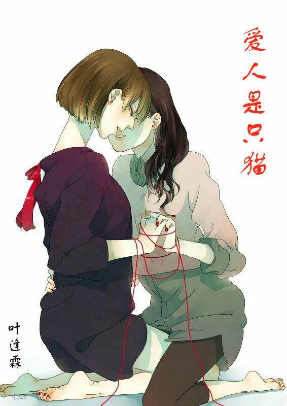 爱人是只猫