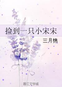 捡到一只小宋宋