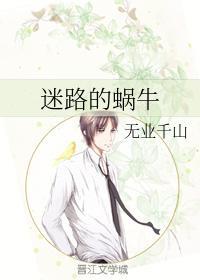 迷路的蜗牛
