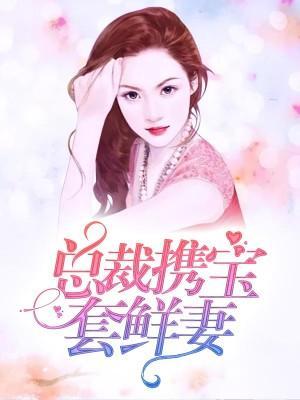 总裁携宝套鲜妻