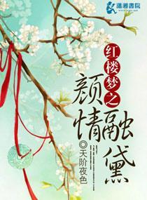 红楼梦之颜情融黛