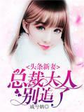 头条新妻:总裁大人别追了