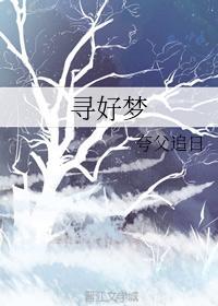 寻好梦