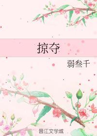 掠夺