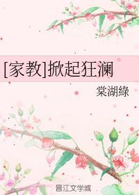 [家教]掀起狂澜