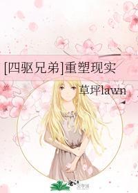 [四驱兄弟]重塑现实