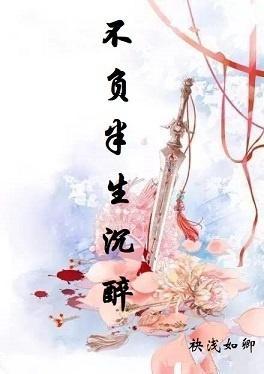 不负半生沈醉