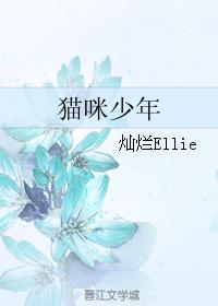 猫咪少年