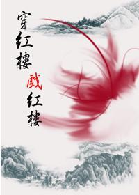 穿红楼戏红楼