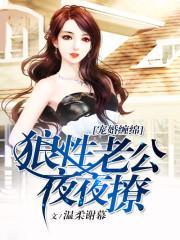 宠婚缠绵:狼性老公,夜夜撩
