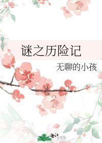 谜之历险记