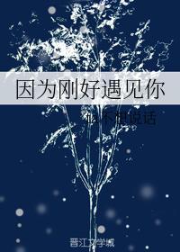 因为刚好遇见你