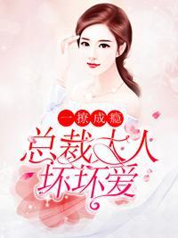 一撩成瘾:总裁大人坏坏爱