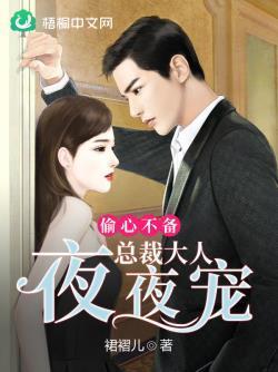 偷心不备:总裁大人夜夜宠