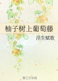 柚子树上葡萄藤