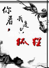 你看，我是只狐貍