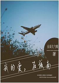 我的爱，在城南