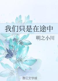 我们只是在途中