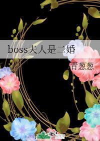 boss夫人是二婚