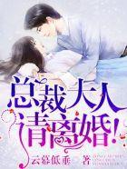 总裁大人,请离婚!