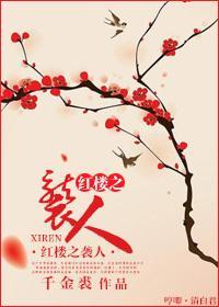 红楼之穿越袭人