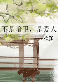 不是暗卫，是爱人