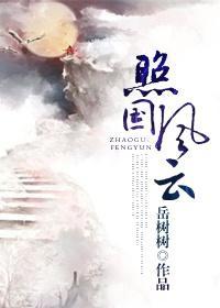 照国风云