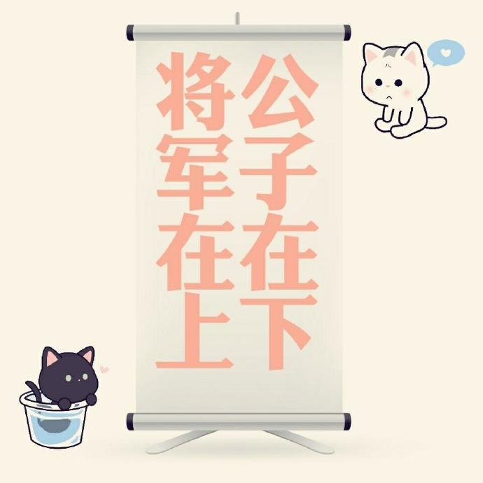公子在下,将军在上