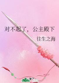 对不起了，公主殿下