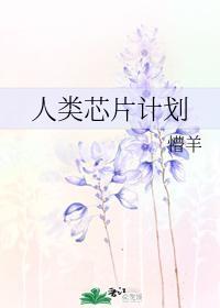 人类芯片计划