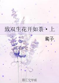 致双生花开如荼·上