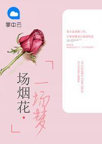 一场烟花,一场梦苏小念陆希楷