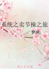 系统之卖节操之旅
