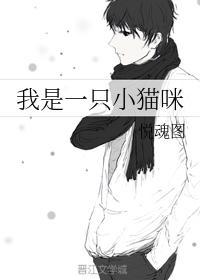 我是一只小猫咪