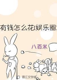 有钱怎么花[娱乐圈]