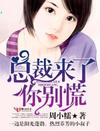 总裁来了,你别慌